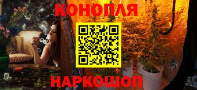 гидра Краснознаменск