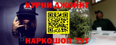 гидра Краснознаменск