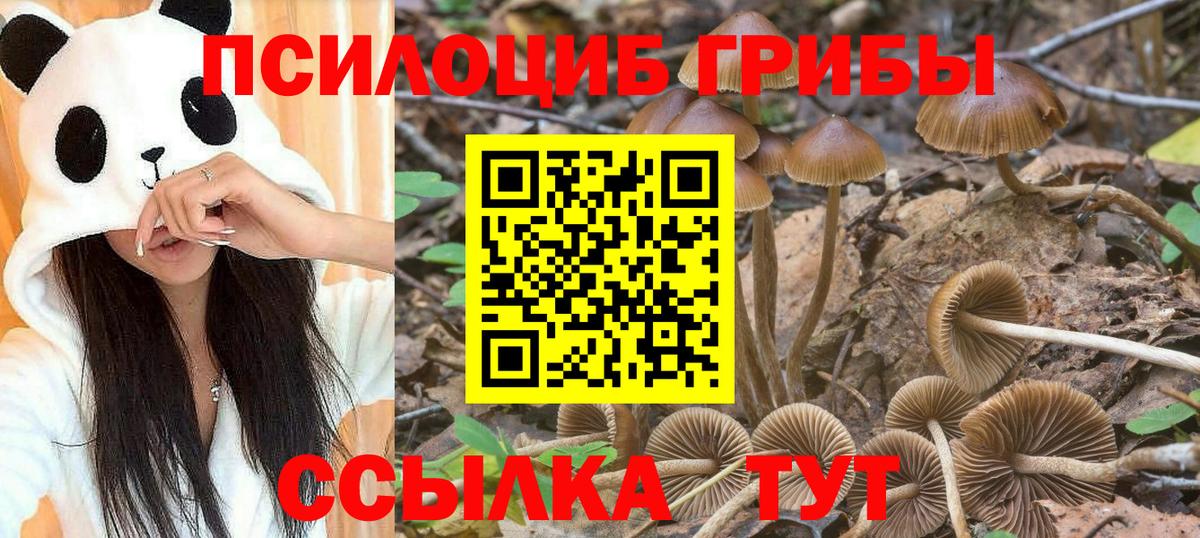 Галлюциногенные грибы прущие грибы  Галлюциногенные грибы MAGIC MUSHROOMS  Курган  Вход с VPN 