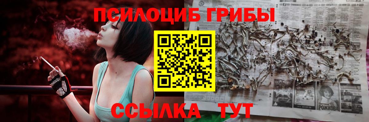 Псилоцибиновые грибы мухоморы Курган
